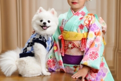七五三ワンちゃんと